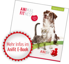 Anifit E-Book